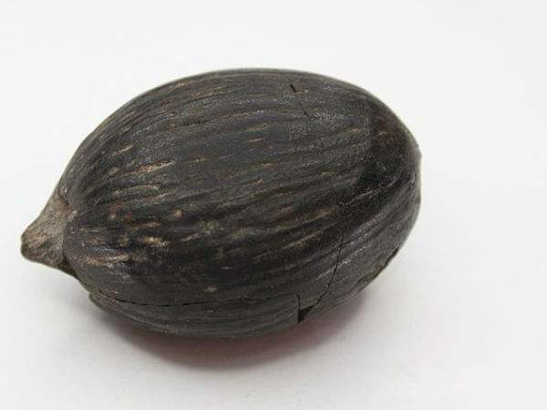 लक्ष्मी नारियल 